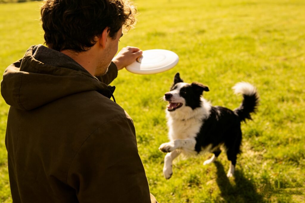 微信图片 20251208190739